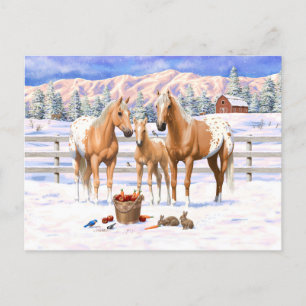 Palomino Appaloosa Pferde im Schnee Postkarte