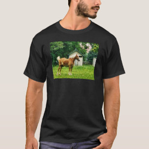 Palomino auf der Weide T-Shirt