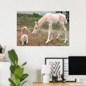 Palomino Baby Horse und Barn Cat Poster (Heimbüro)