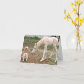 Palomino-Baby-Pferd mit Scheunen-Katze Karte (Gelbe Blume)