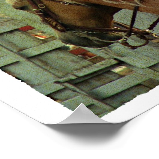 Palomino Barrrel Pferde Poster (Ecke)