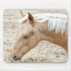 Palomino Colt Pony Horse Mousepad