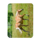 Palomino Farm Horse Magnet (Vertikal)