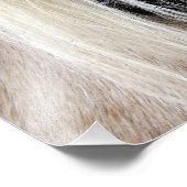 Palomino Fotodruck (Ecke)