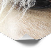 Palomino Fotodruck (Ecke)