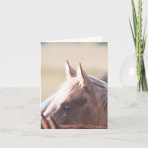Palomino Gold - 4" x 5.6" Notizkarte Karte