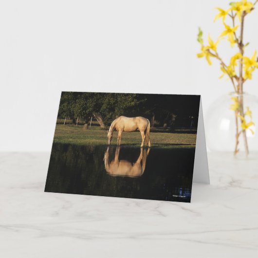 Palomino Gran Café Al Porto Karte (Gelbe Blume)