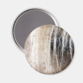 Palomino Grunge Magnet (Vorderseite/Rückseite)