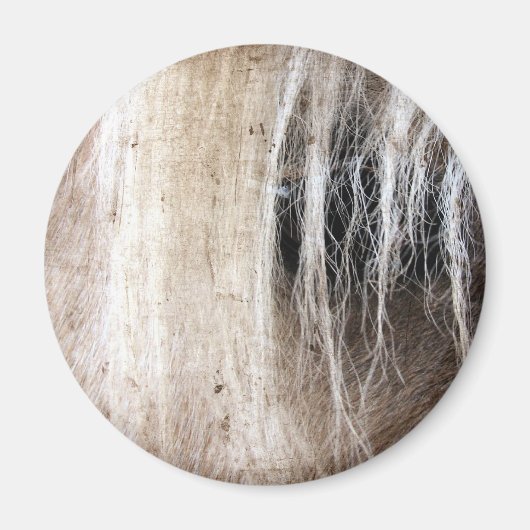 Palomino Grunge Magnet (Vorne)