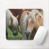 Palomino-Herde Mousepad (Mit Mouse)