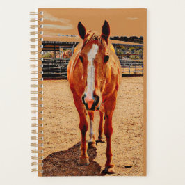 Palomino Horse Daily Planer