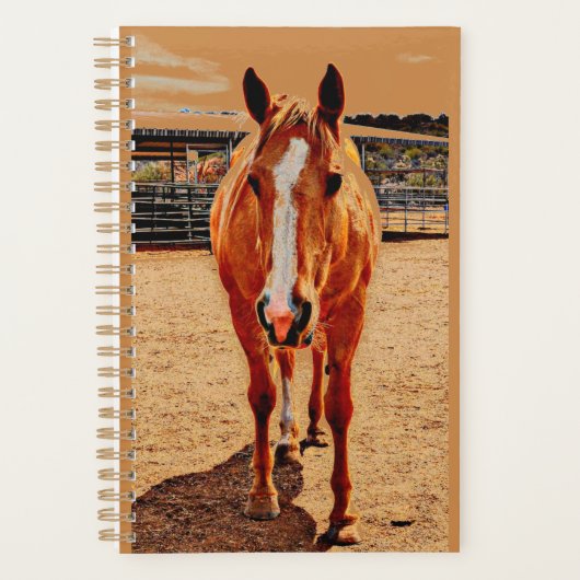Palomino Horse Daily Planer (Vorderseite)