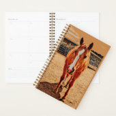 Palomino Horse Daily Planer (Anzeige)