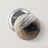 Palomino Horse Eye Button (Vorne & Hinten)