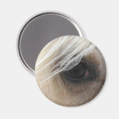 Palomino Horse Eye Magnet (Vorderseite/Rückseite)