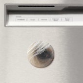 Palomino Horse Eye Magnet (In Situ (Geschirrspüler))