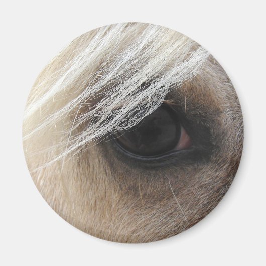 Palomino Horse Eye Magnet (Vorne)