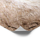 Palomino Horse Grunge Poster (Ecke)