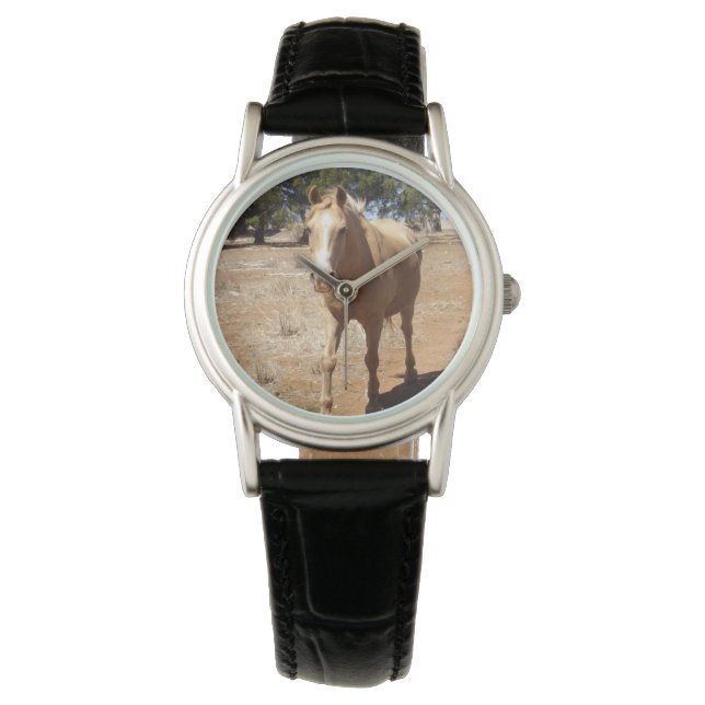 Palomino Horse Gruß, Armbanduhr (Vorderseite)