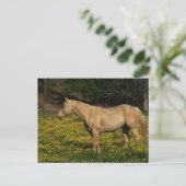 Palomino in gelben Blumen Postkarte (Stehend Vorderseite)