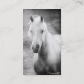 Palomino in Schwarz und Weiß Visitenkarte (Rückseite)