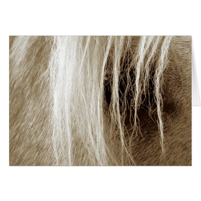 Palomino in Sepia (Vorderseite (Horizontal))