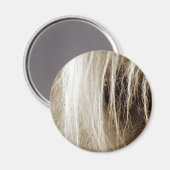 Palomino in Sepia Magnet (Vorderseite/Rückseite)