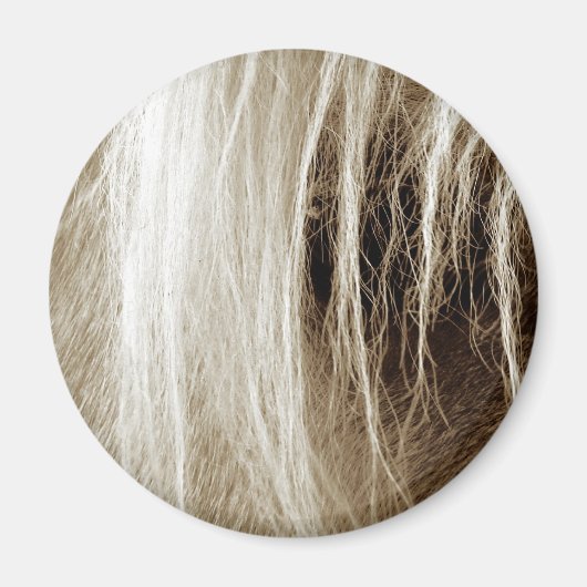 Palomino in Sepia Magnet (Vorne)
