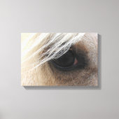 Palomino Leinwanddruck (Vorderseite)