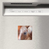 Palomino Magnet (In Situ (Geschirrspüler))