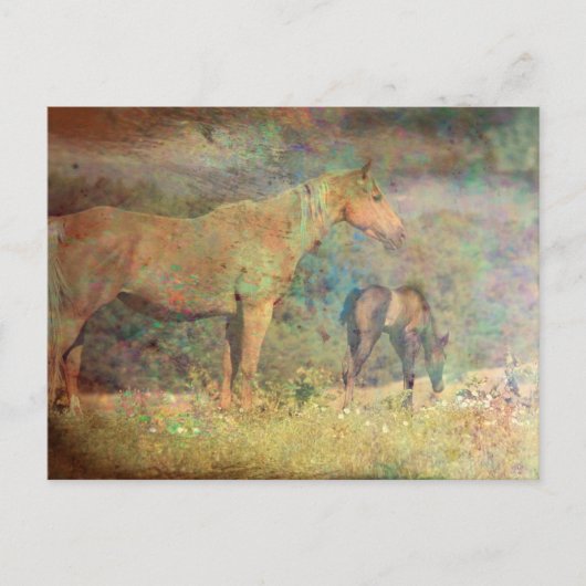 Palomino Mare and Foal Postkarte (Vorderseite)
