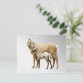 Palomino Mare & Foal Postkarte (Stehend Vorderseite)