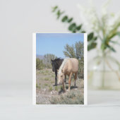Palomino Mustang Postkarte (Stehend Vorderseite)