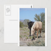 Palomino Mustang Postkarte (Vorne/Hinten)