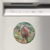 Palomino New Forest Pony Pferde-Liebhaber Geschenk Magnet (In Situ (Geschirrspüler))