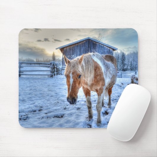 Palomino Paint Horse and Barn Equine Fotografie Mousepad (Mit Mouse)
