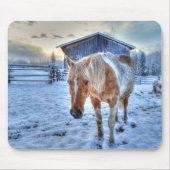 Palomino Paint Horse and Barn Equine Fotografie Mousepad (Vorne)