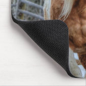 Palomino Paint Ranch Horse Equine Fotografie Mousepad (Ecke)