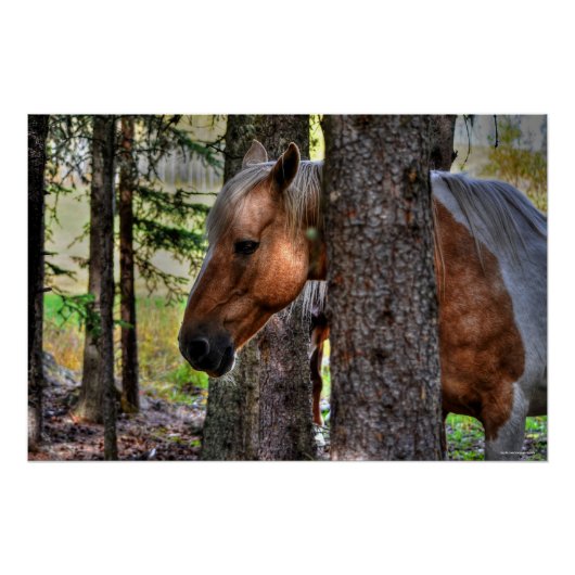 Palomino Paint Stallion & Forest Equine Foto Poster (Vorderseite)
