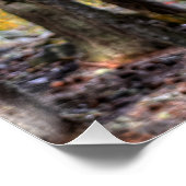 Palomino Paint Stallion & Forest Equine Foto Poster (Ecke)