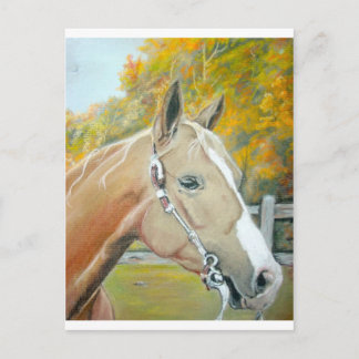 Palomino, Pastellross Postkarte