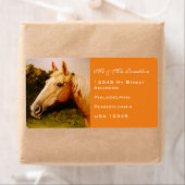 Palomino Pferd (Insitu)