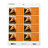 Palomino Pferd (Vorne)