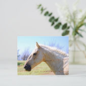 Palomino Pferd am Zaun Postkarte (Stehend Vorderseite)