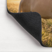 Palomino Pferd bei Sonnenaufgang Mousepad (Ecke)