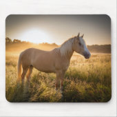 Palomino Pferd bei Sonnenaufgang Mousepad (Vorne)