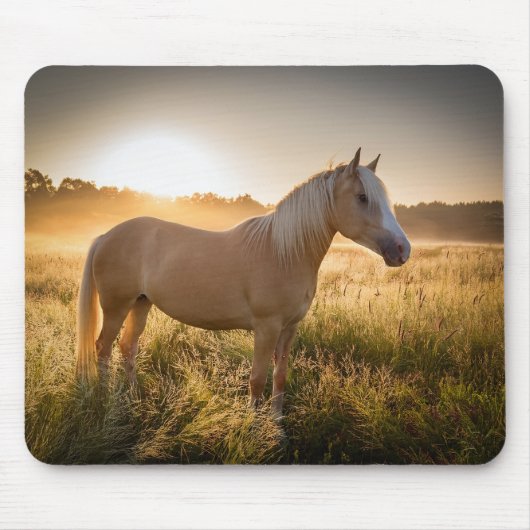 Palomino Pferd bei Sonnenaufgang Mousepad (Vorne)