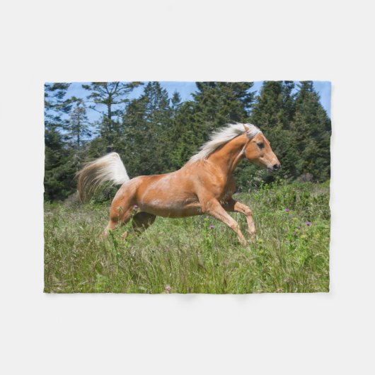 Palomino Pferd durch eine Wiese Fleecedecke (Vorderseite (Horizontal))