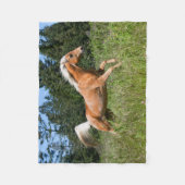 Palomino Pferd durch eine Wiese Fleecedecke (Vorderseite)