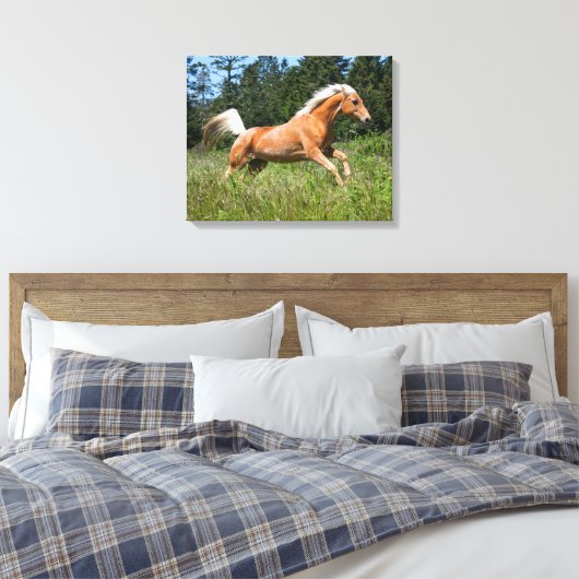Palomino Pferd durch eine Wiese Leinwanddruck (Insitu (Schlafzimmer))
